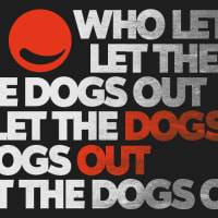 Who let the Dogs Out