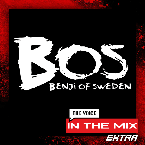 The Voice In The Mix - Extra