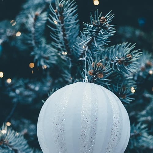 Hyvää joulua Pookista!