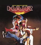 The Hair