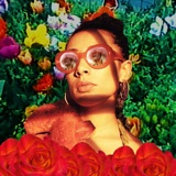 Eliza Rose and Interplanetary Criminal